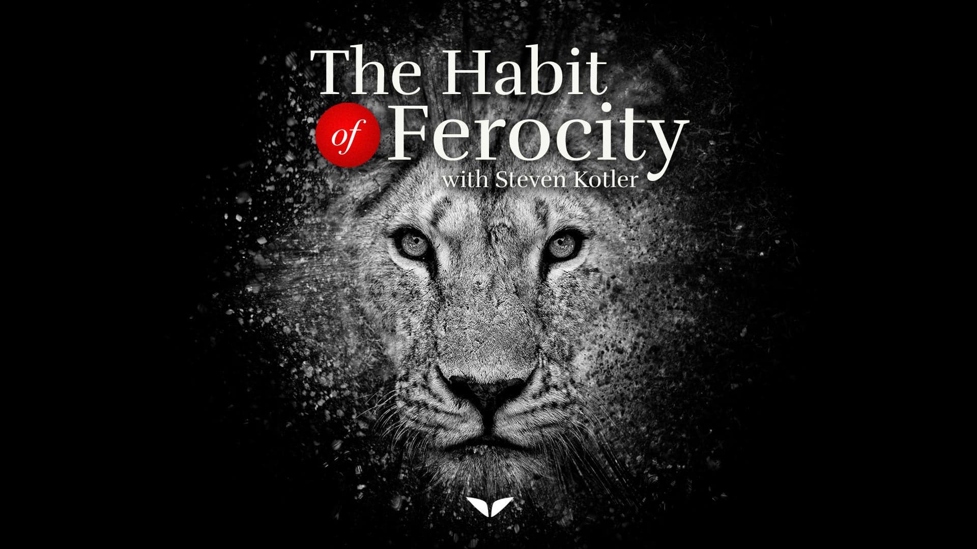 The Habit of Ferocity by Steven Kotler — Mindvalley course